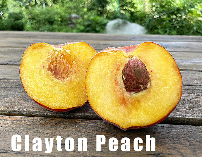 Clayton Peach2