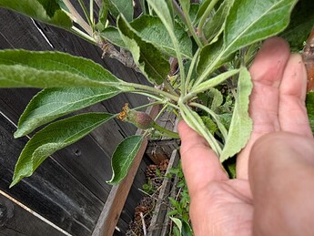 PXL_20250515_201510933