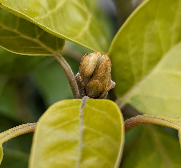 PXL_20240321_010245214~3