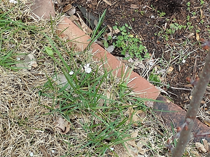 IMG_20200315_163143141