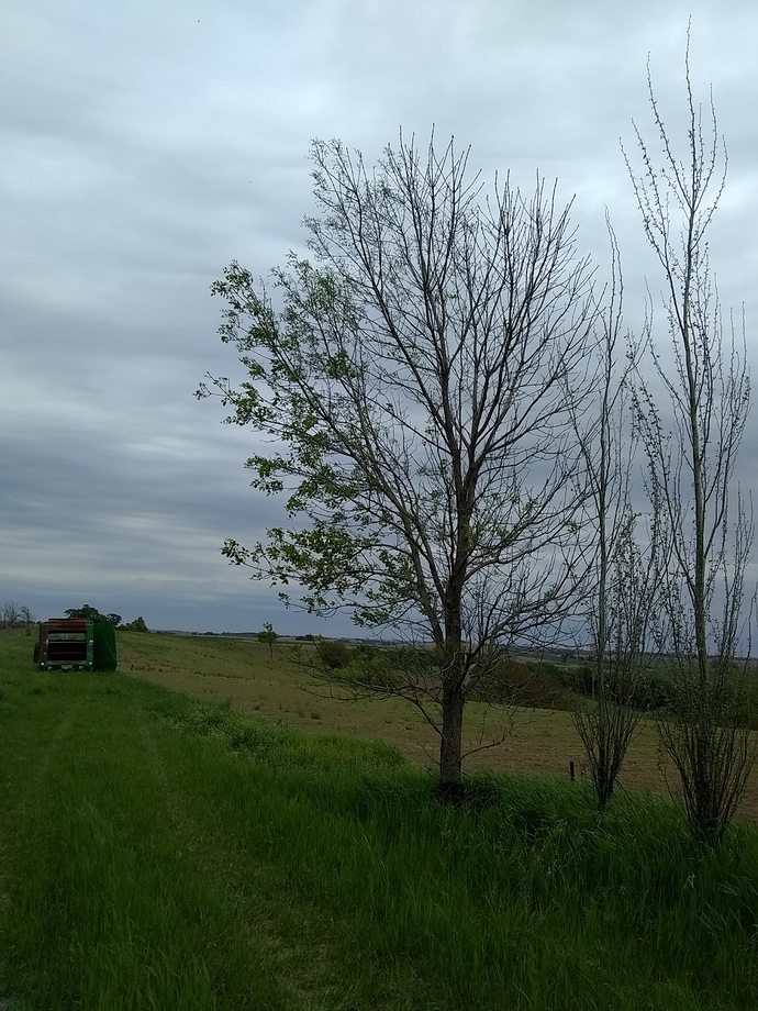 IMG_20200531_121734790