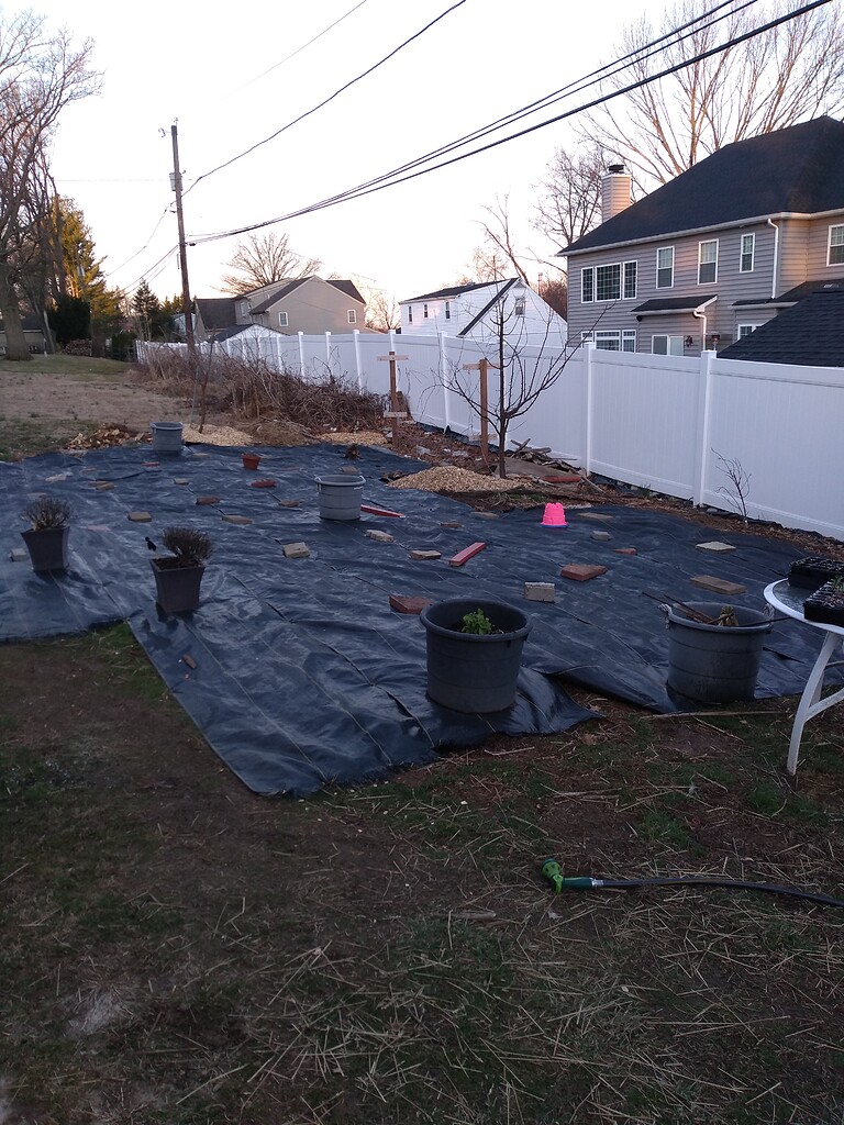 New garden row covers General Gardening Growing Fruit