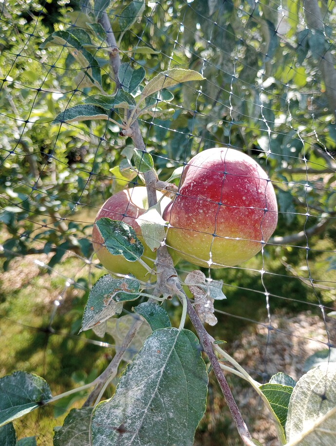 IMG_20220722_155916976