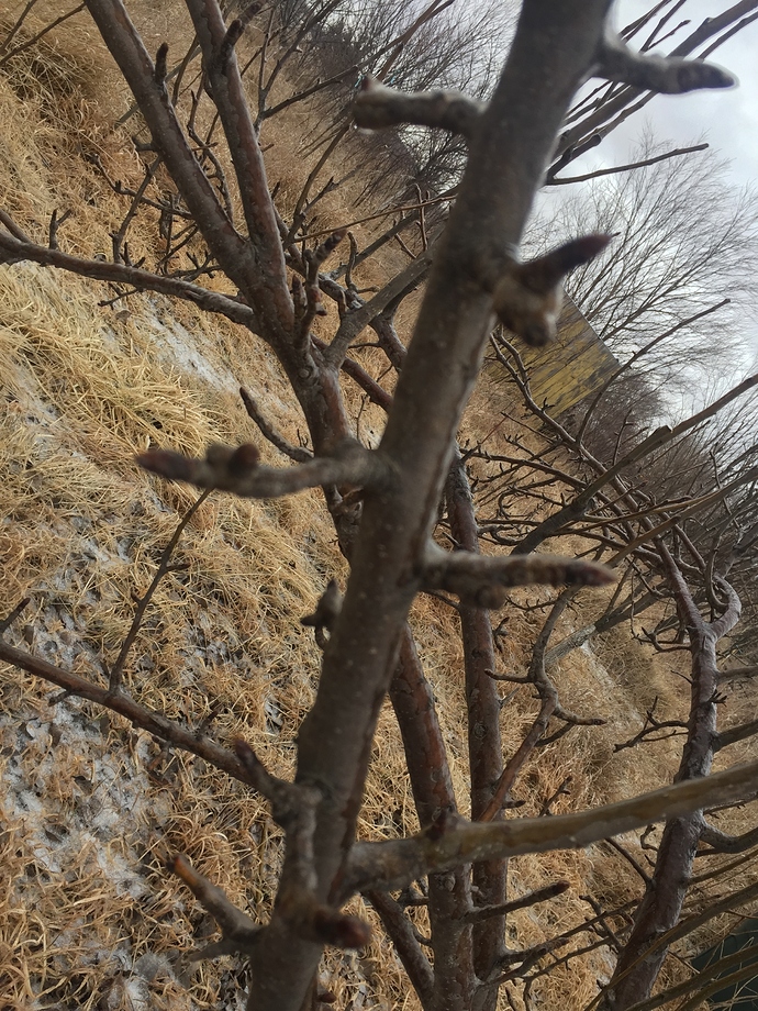 A1B7F7D7-8725-48EF-9CFB-440112654680