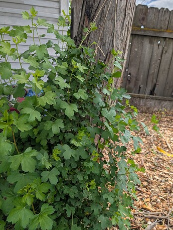 PXL_20250515_201700602