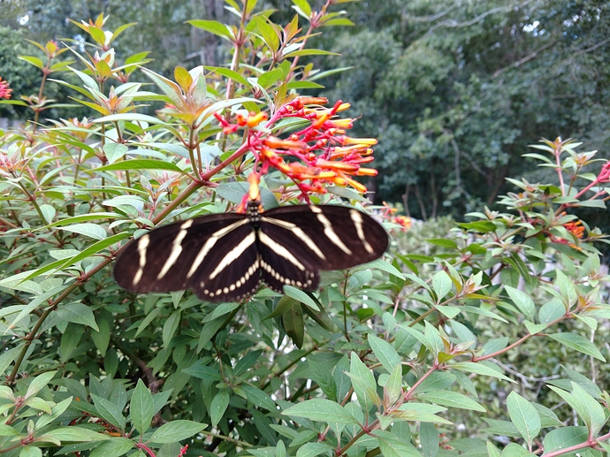 IMG_20170912_133529811