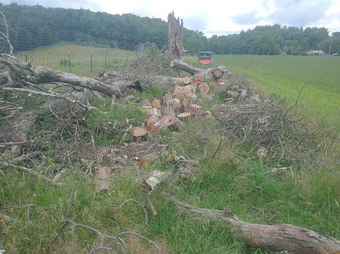 IMG_20230704_140605220