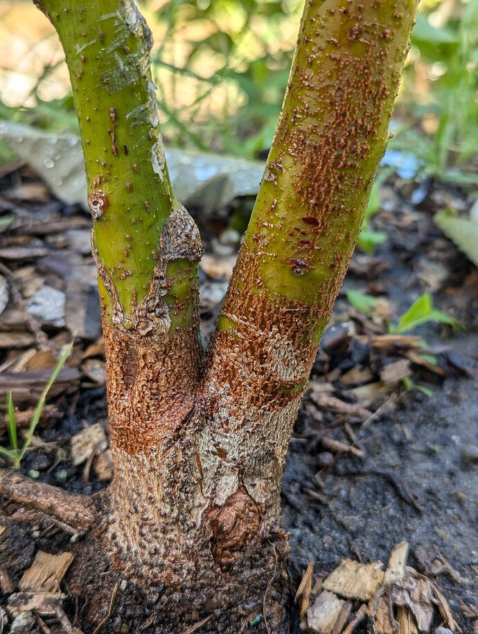 PXL_20240920_192215425