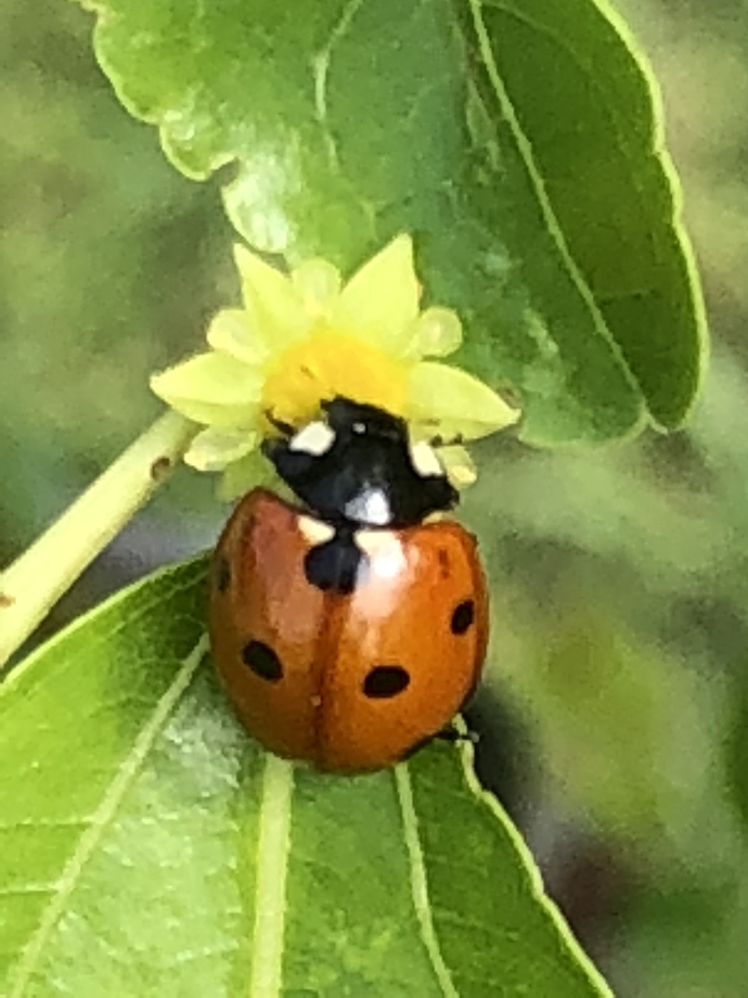 7BD63847-2B26-4D52-8B17-455756FBC633