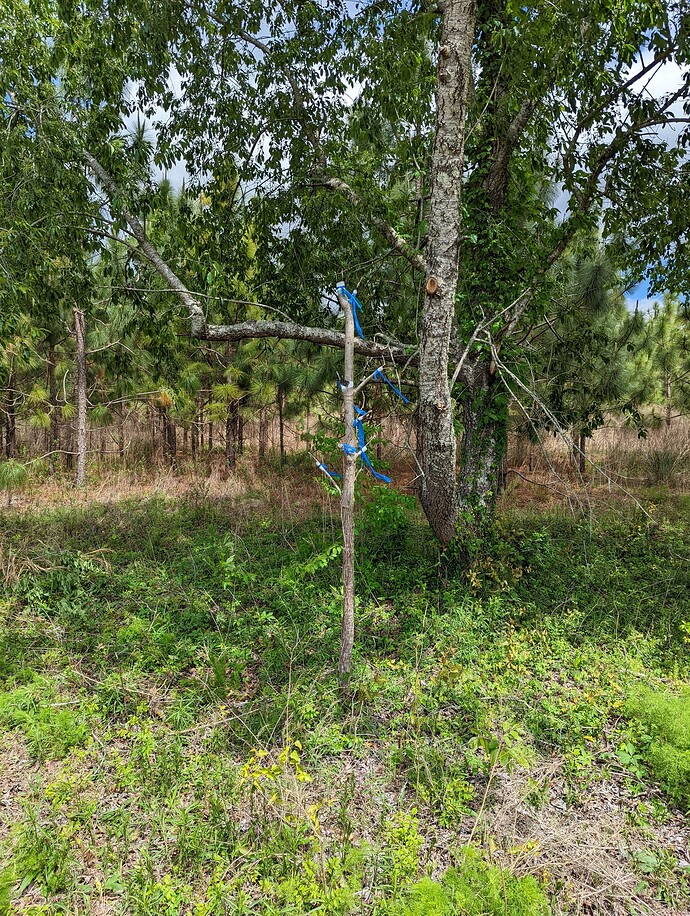 PXL_20230416_154635522