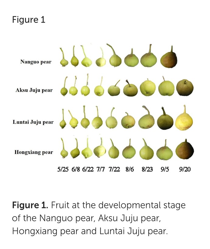 Screenshot_20230421_163758_Samsung Internet