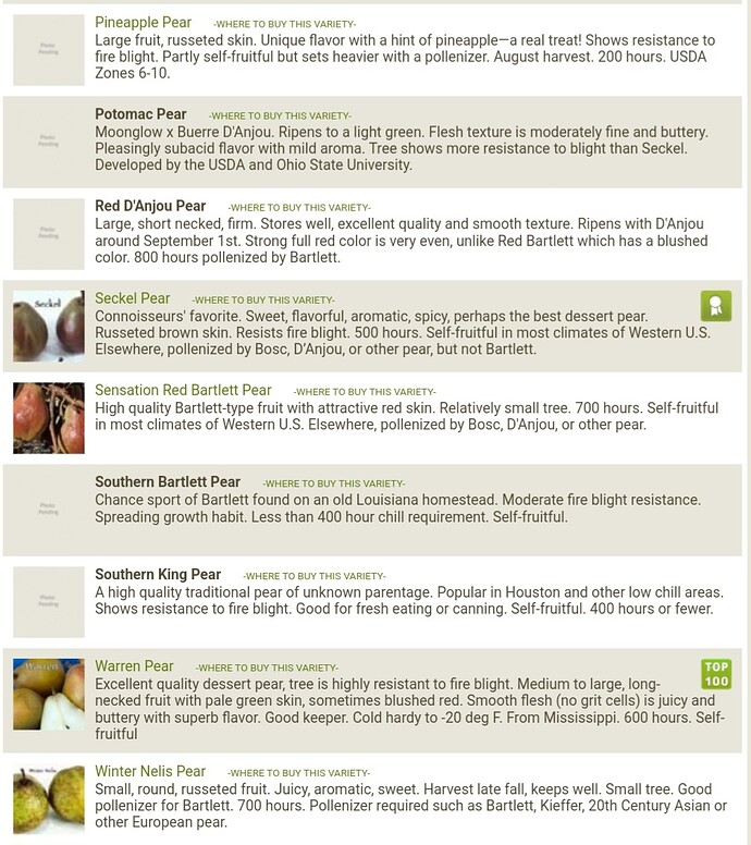 Pear descriptions 2023 General Fruit Growing Growing Fruit