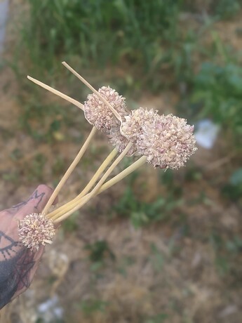 PXL_20220823_225101647.PORTRAIT