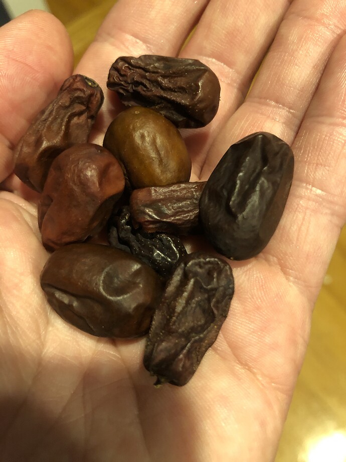 Xu_Zhou_dried_09-02-2021