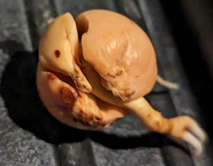 PXL_20230731_043015667