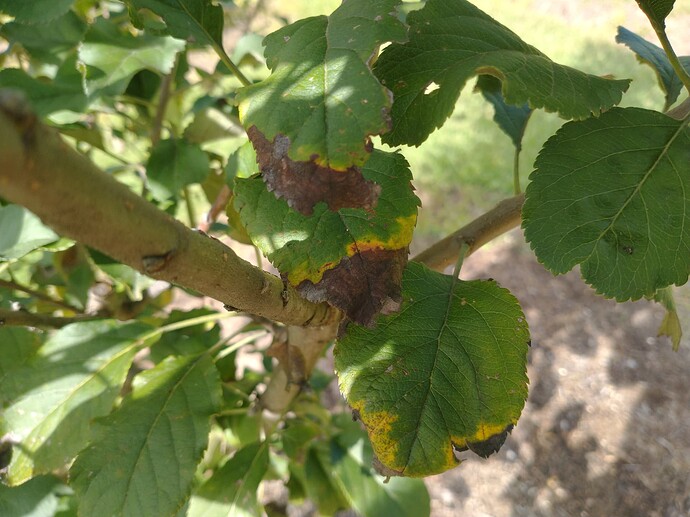 IMG_20220904_102853304