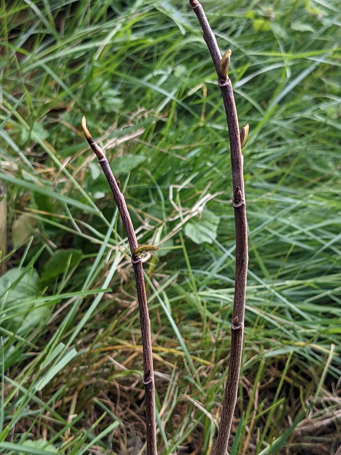 PXL_20210428_003904308