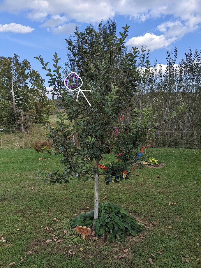 PXL_20221007_195759218.MP~3