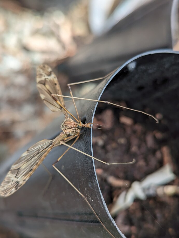 PXL_20240515_165222404