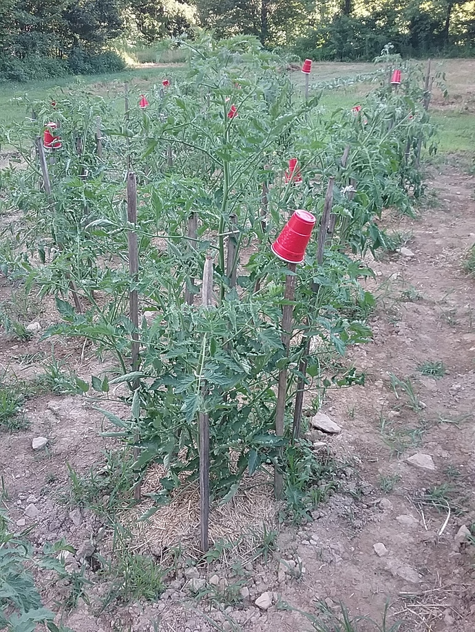 20180708_183520