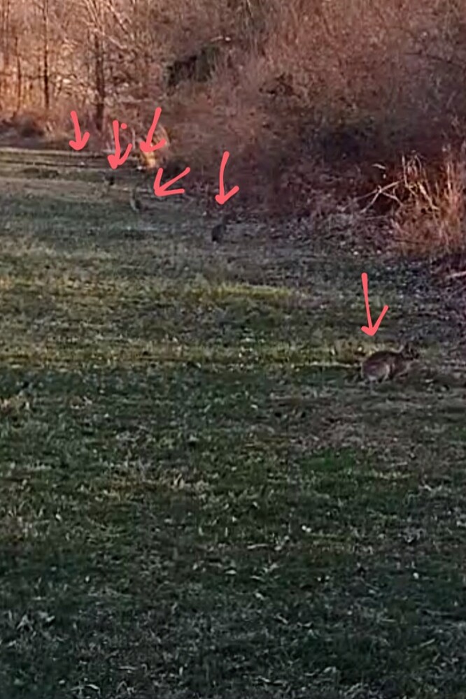 Screenshot_20241016_195627_Gallery