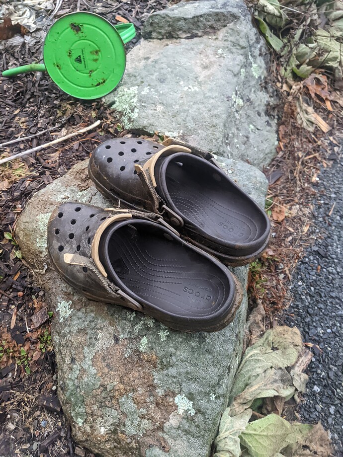 PXL_20230113_202929171