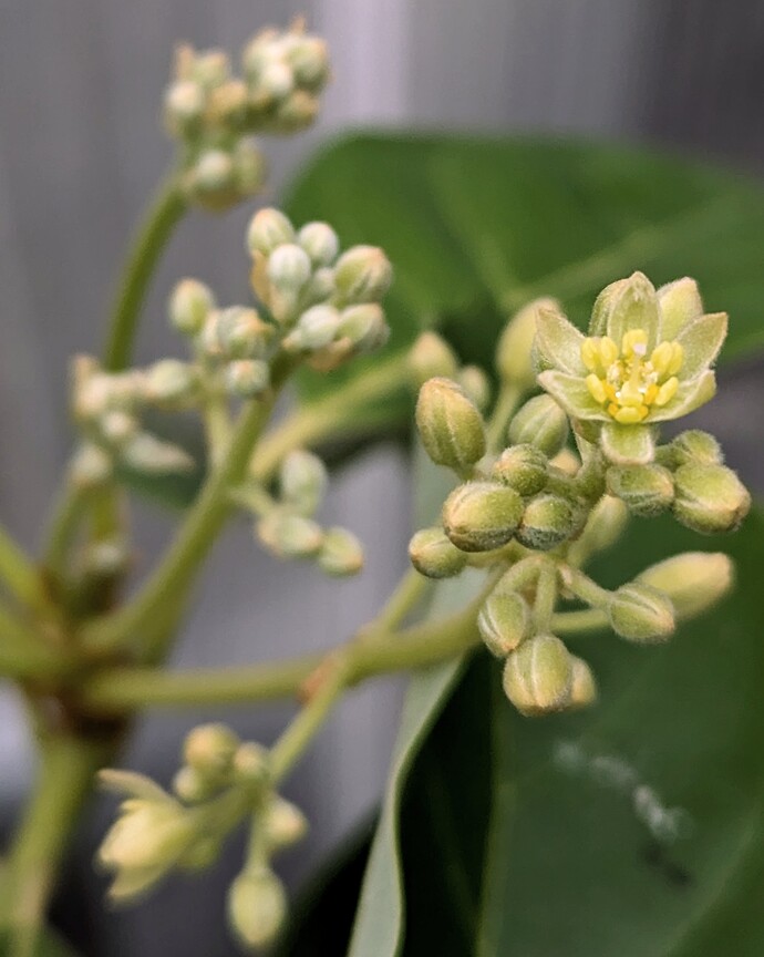 PXL_20240327_191340237