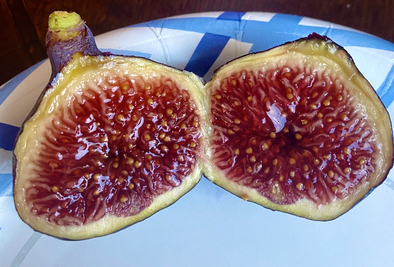 Best fig varieties? General Fruit Growing Growing Fruit