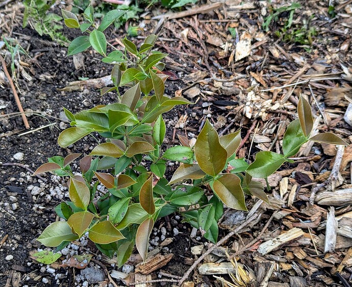 PXL_20240629_165654077