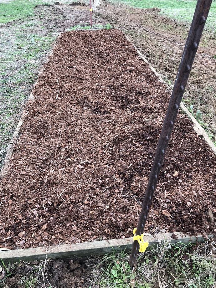 2EEED974-DC17-40A9-B5E7-2D8B87A52B14