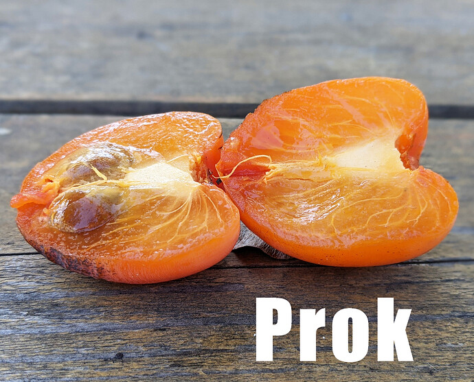 Prok3