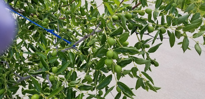 15315875979061339746200718139938