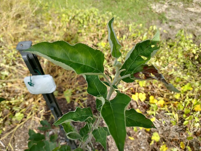 IMG_20220904_103035742_HDR