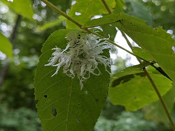 PXL_20220905_223934108