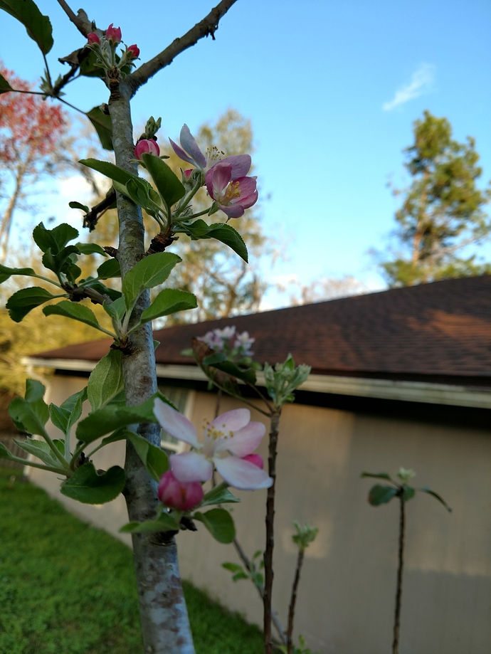 IMG_20180216_173256953_HDR