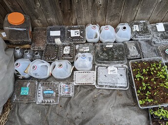 PXL_20230330_142601910