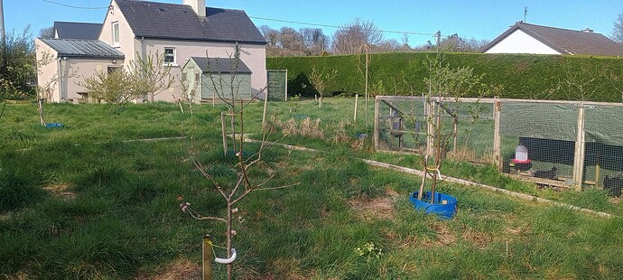 IMG_20250415_093844684_HDR