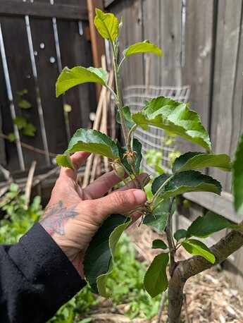 PXL_20250515_201239847