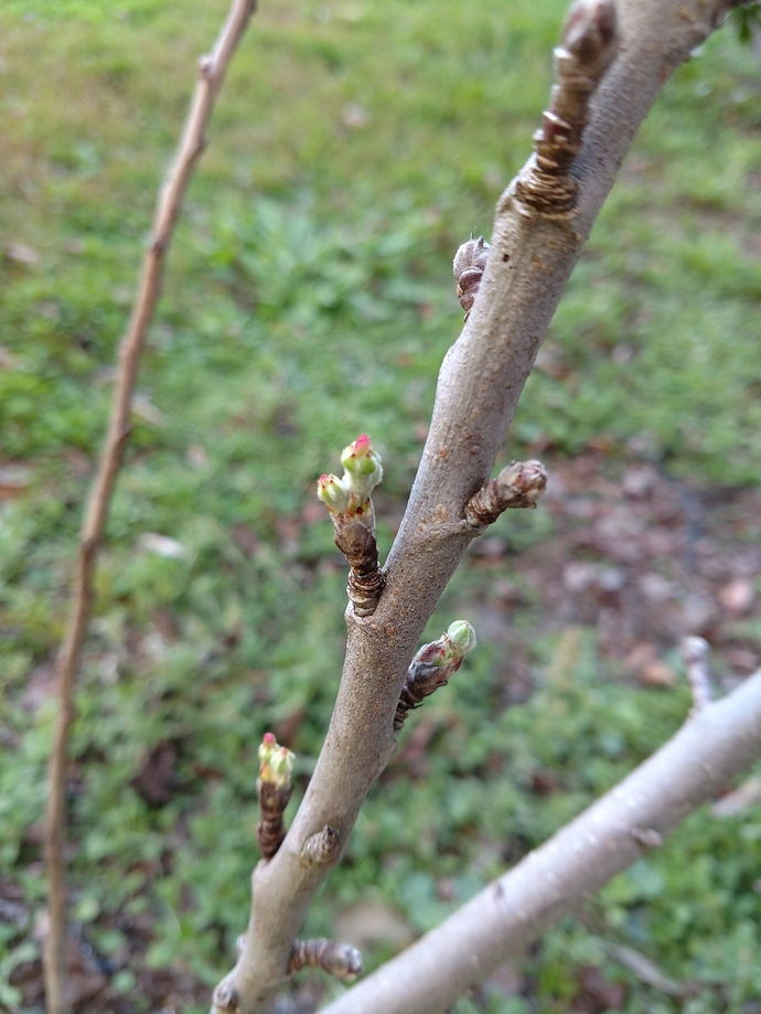 IMG_20180216_173150781