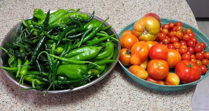 Harvest 07-29-21