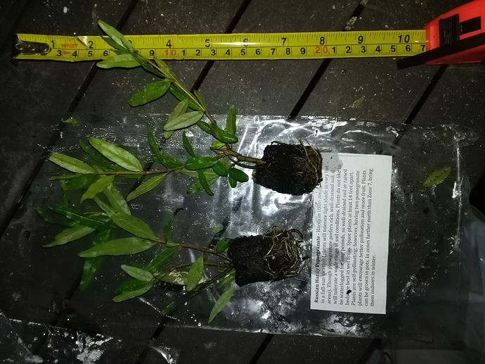 IMG_20190520_194452%5B1%5D