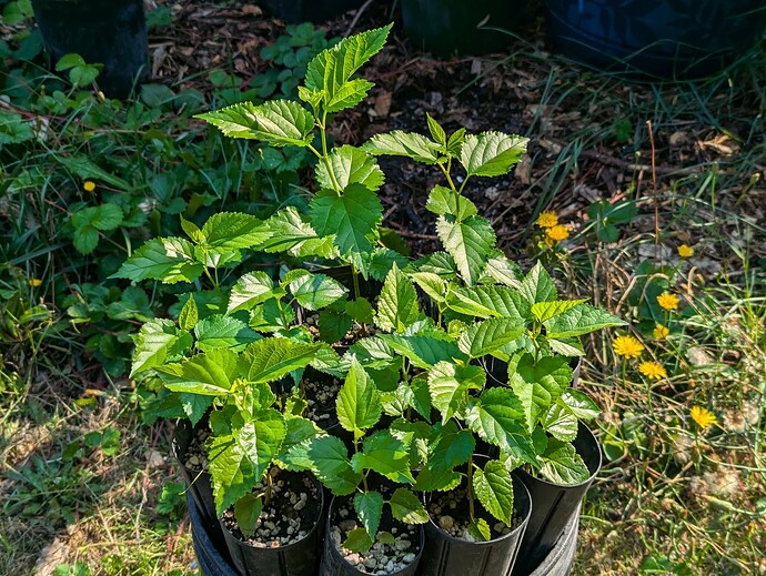 PXL_20240906_172935286