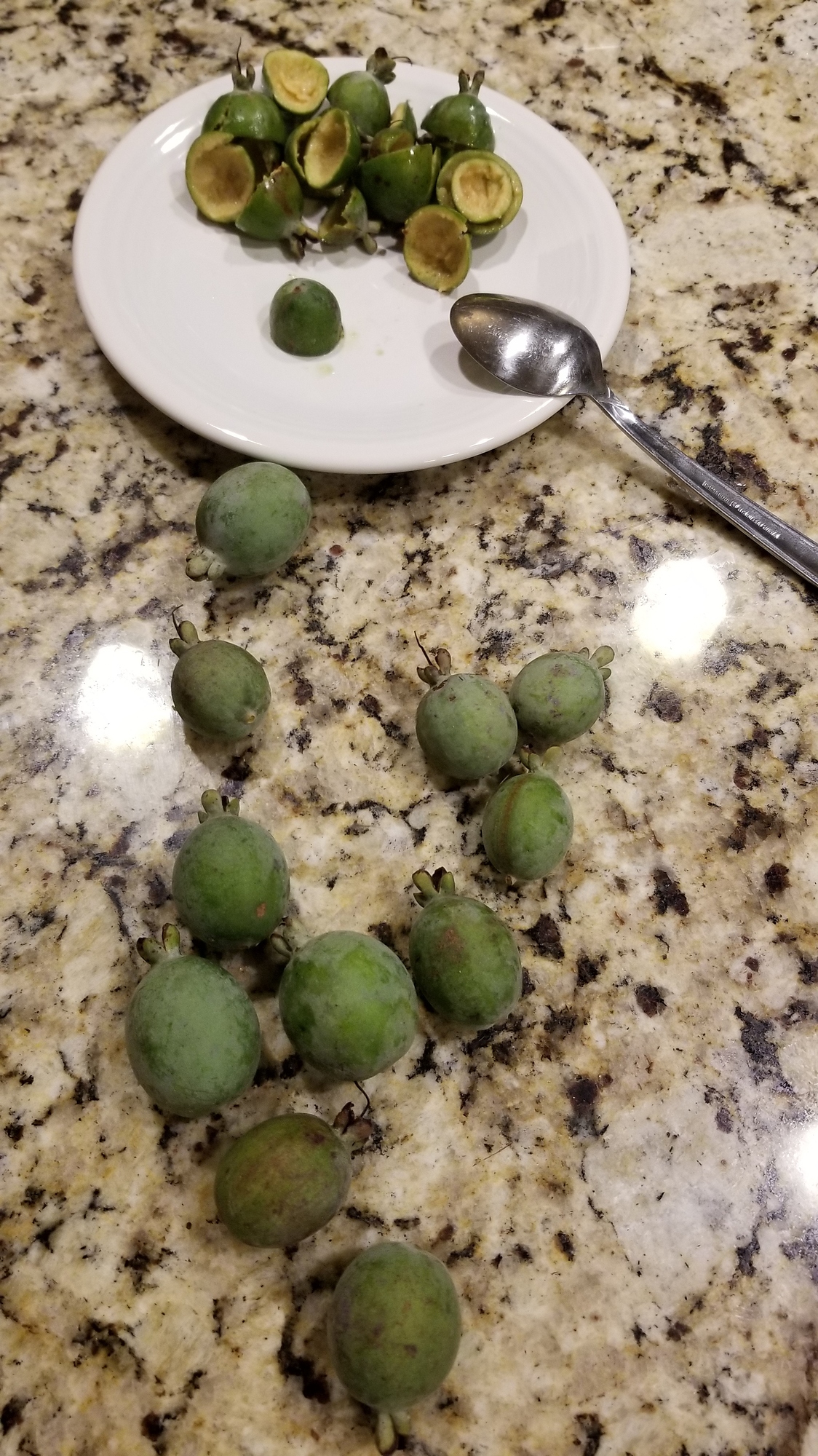 Pineapple guava General Fruit Growing Growing Fruit