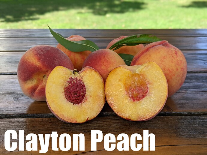 Clayton