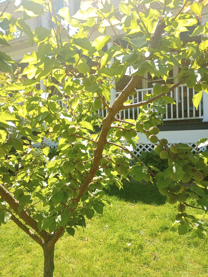 IMG_20230506_112220986