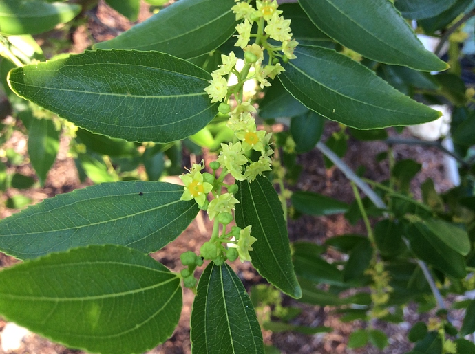 F2DE5EDF-89E7-4603-824A-CF3888B5D5E7