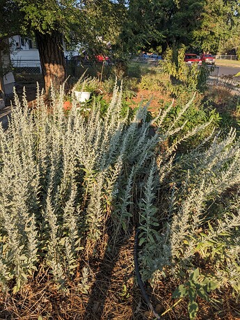 PXL_20240810_013359094