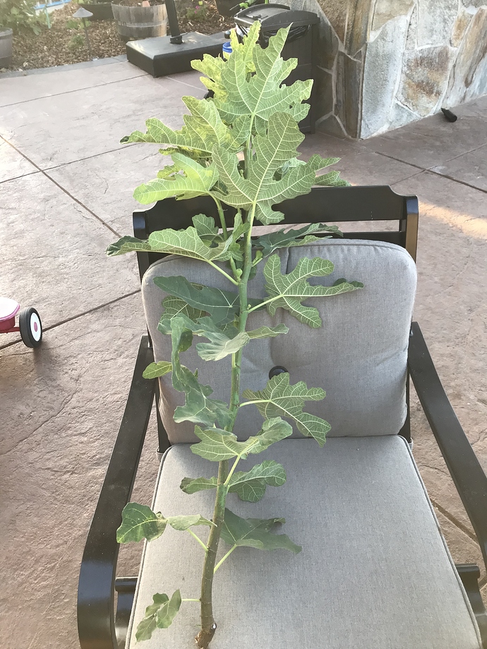 8AAFD99D-BBA3-440A-9B68-B163A9EA4246