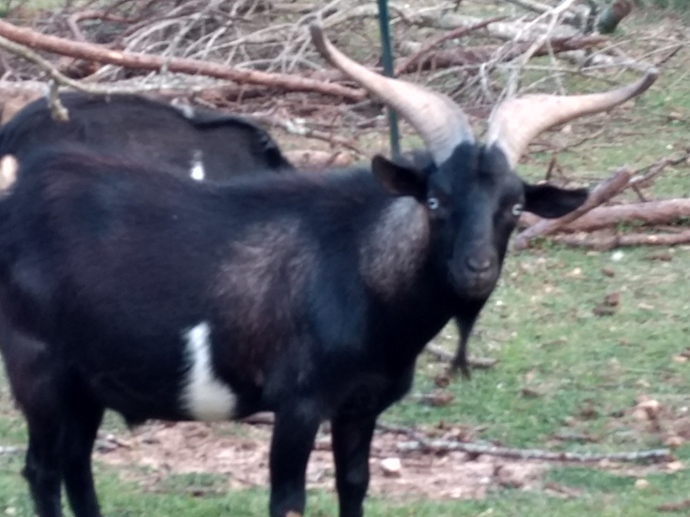 IMG_20180510_200708092_HDR