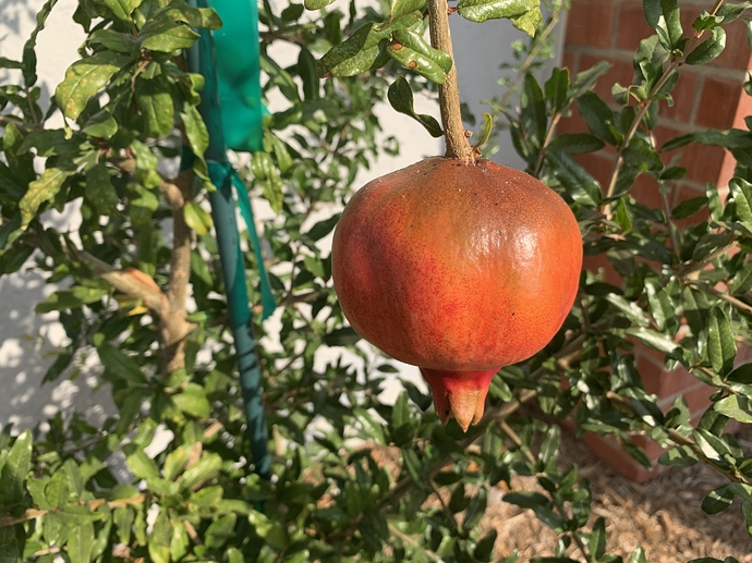 E71BBA01-2116-4D25-8168-0F23678A8FAC